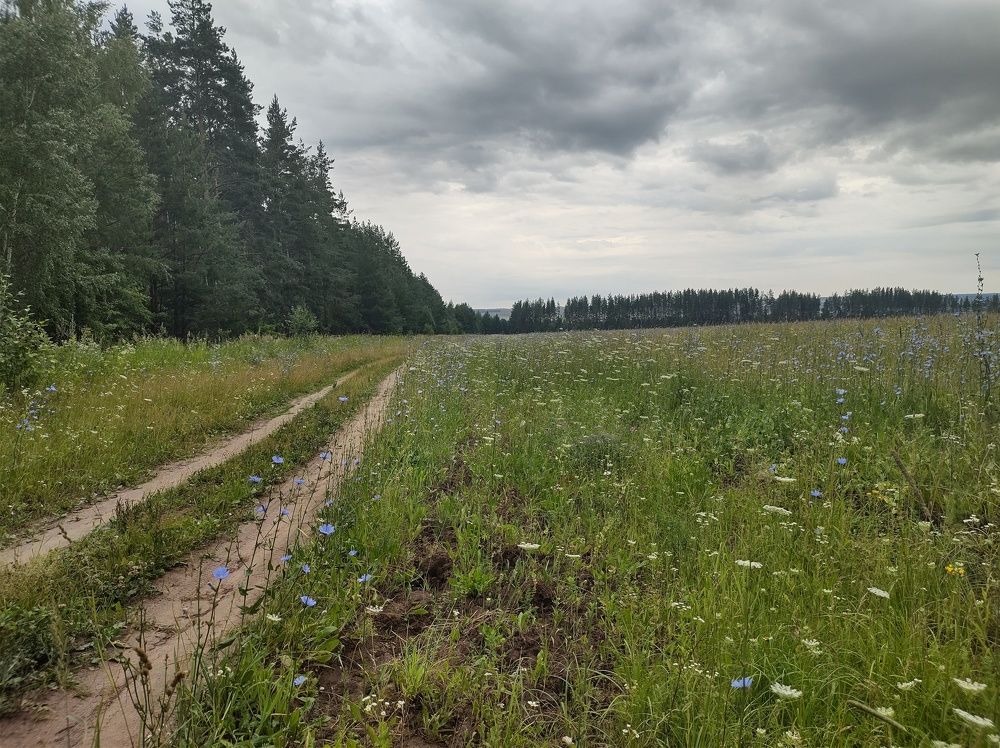 Photograph by Александра Мамедова