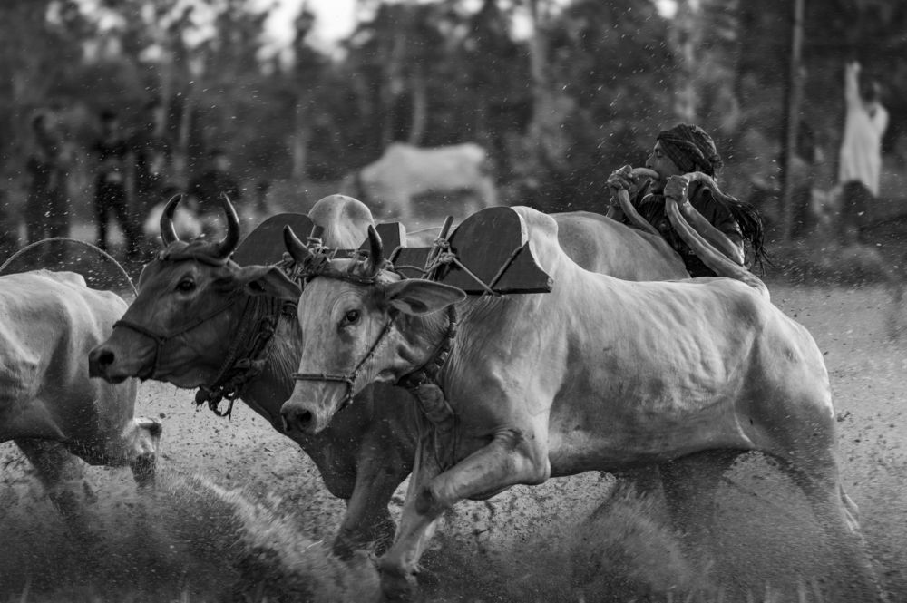 Photograph by Sharad Mansharamani