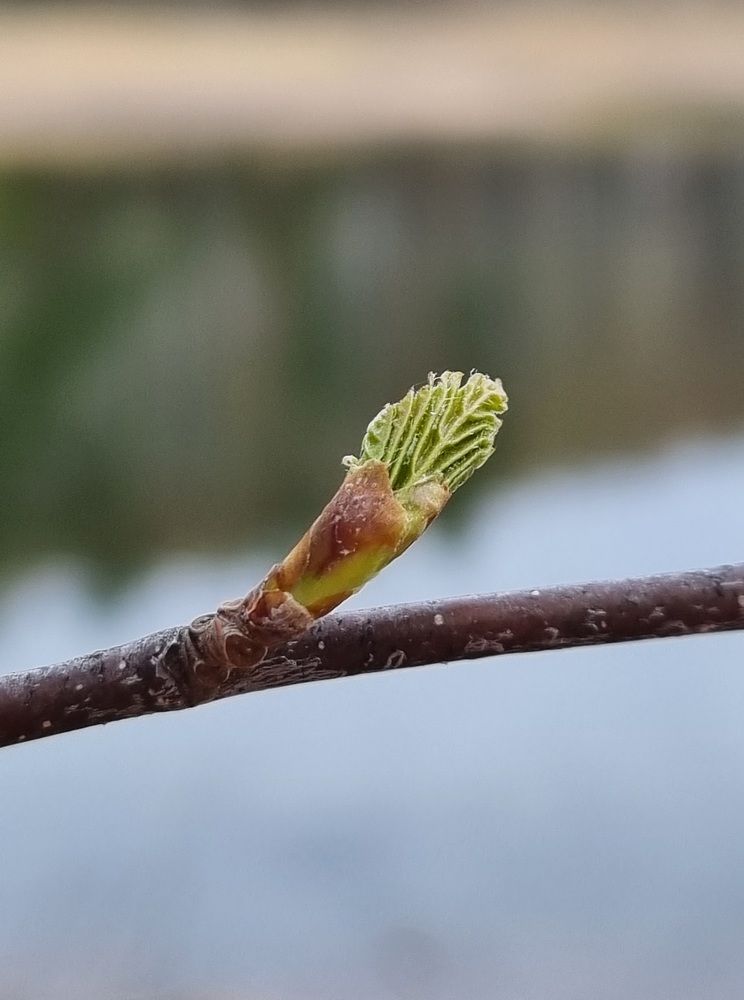 Photograph by Ангелина Шикина