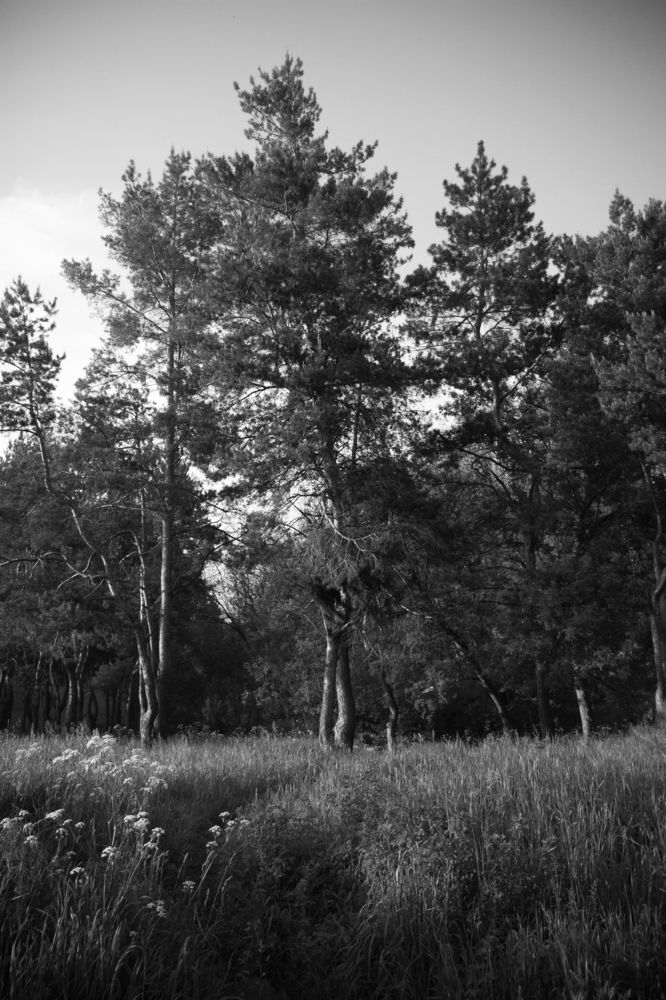 Фотография автора Мария Щеголькова