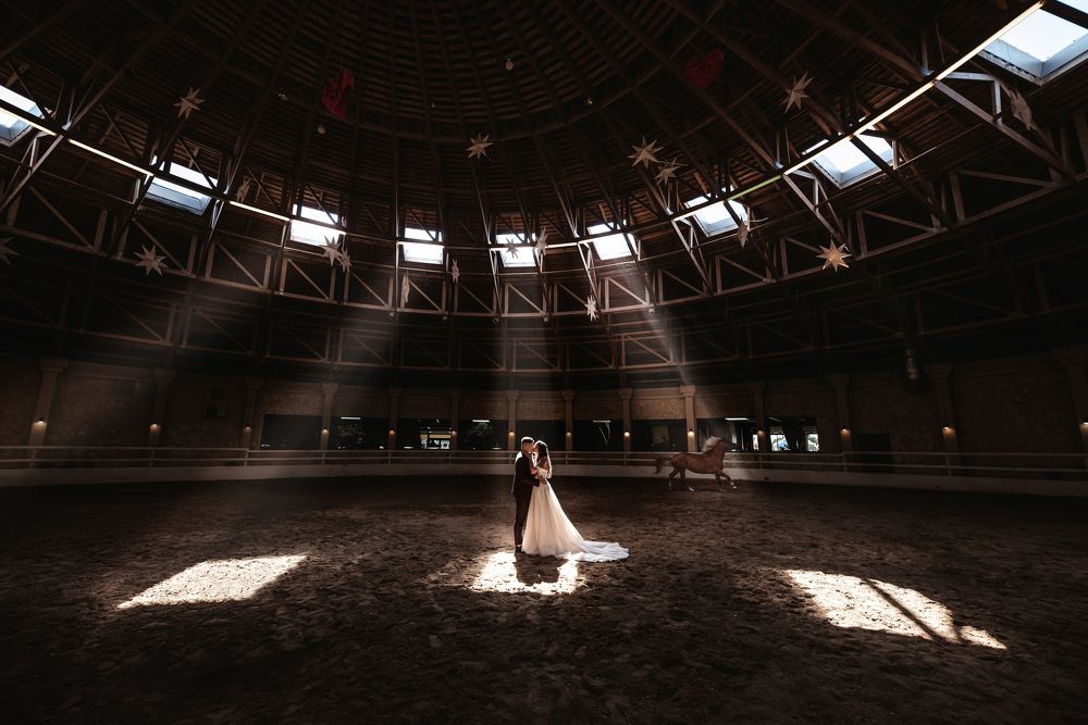 Photograph by Laura Žygė