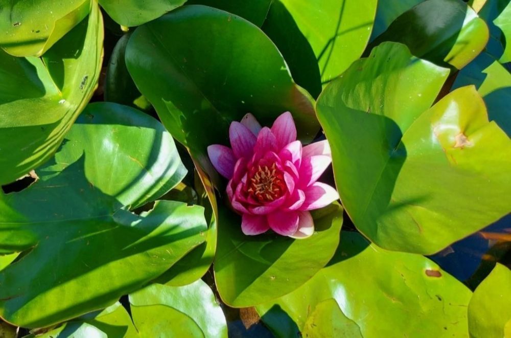 Photograph by Andrea Szénási