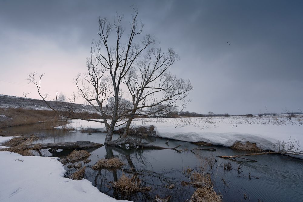 Photograph by Григорий Шалик