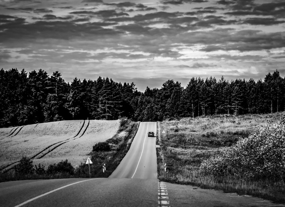 Photograph by Mindaugas Dinda