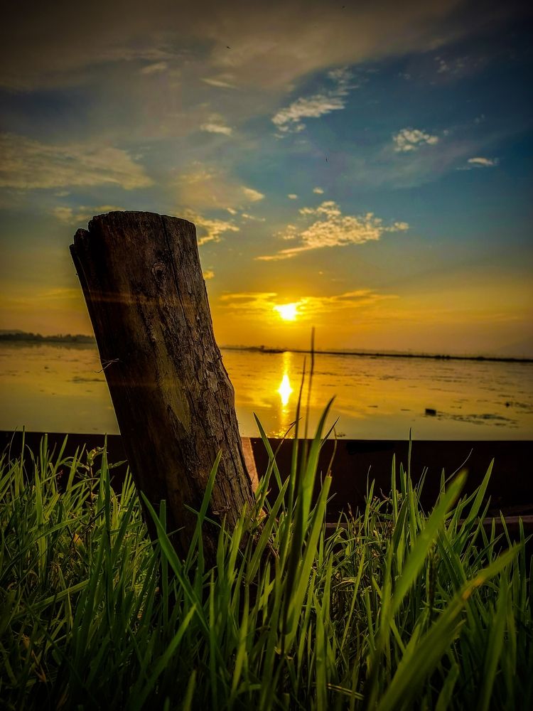 Sunset on the banks of Dal Lake