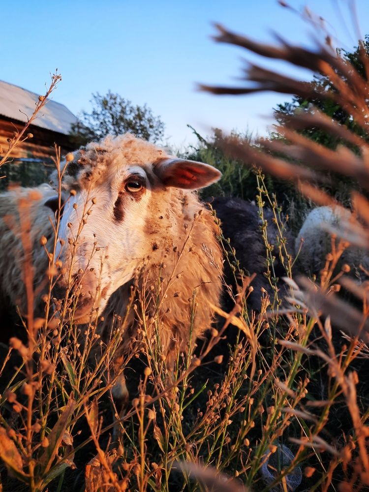 Photograph by Эльза