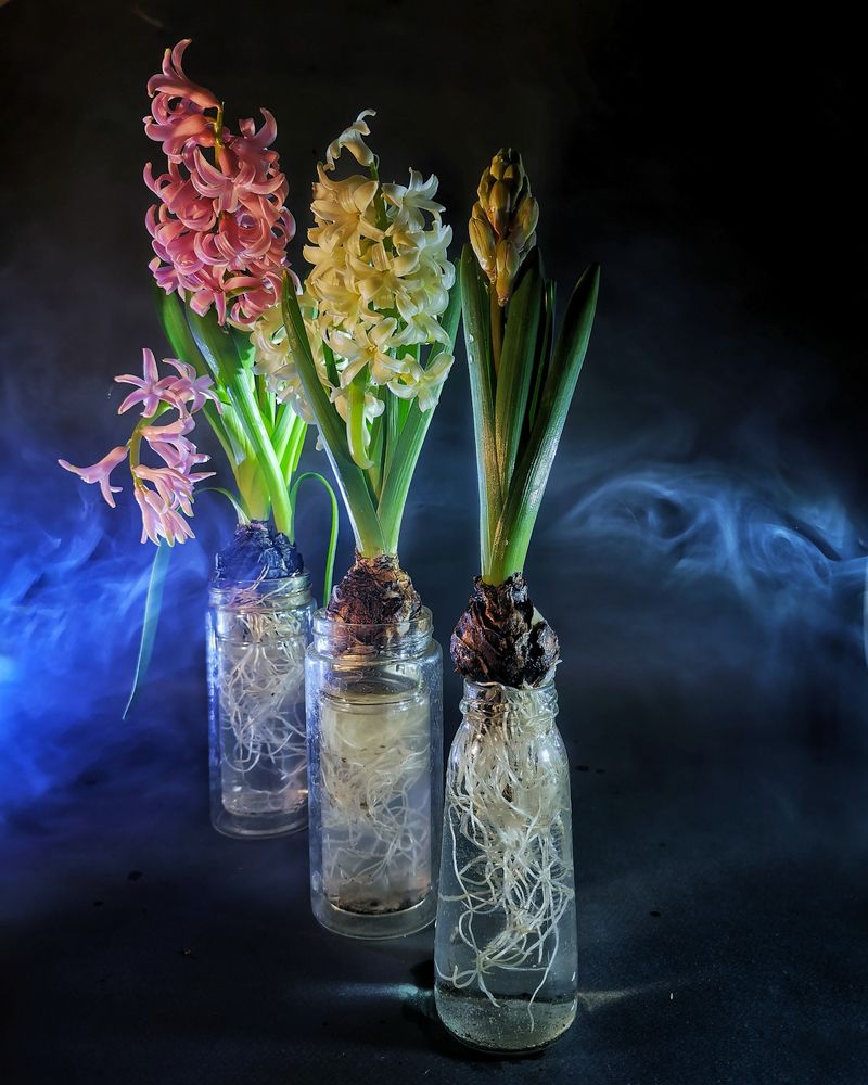 Photograph by Наталья Балабанова