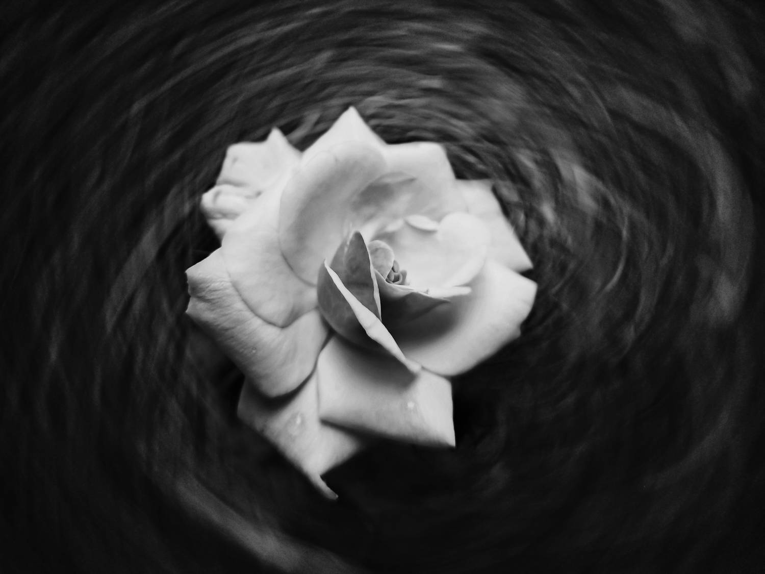 The whirlpool effect