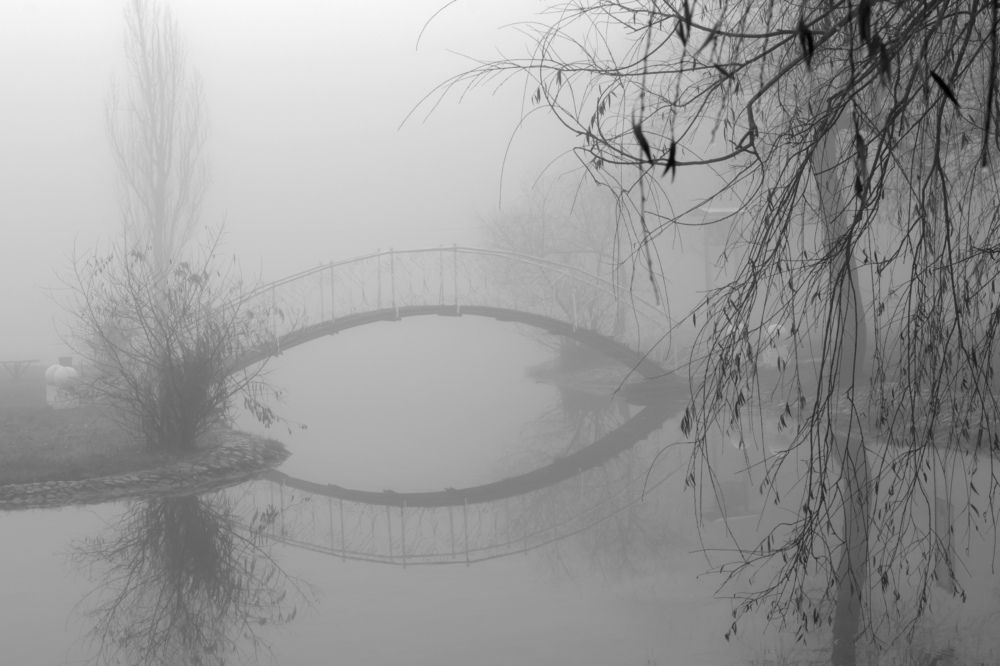 Photograph by Александр