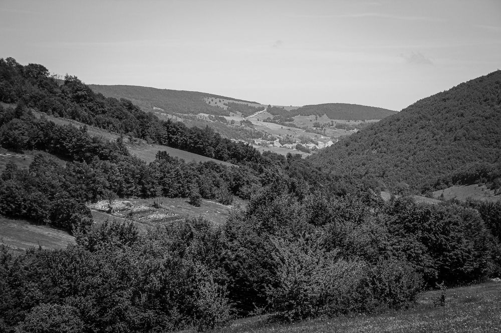 Photograph by mustafa saadoon