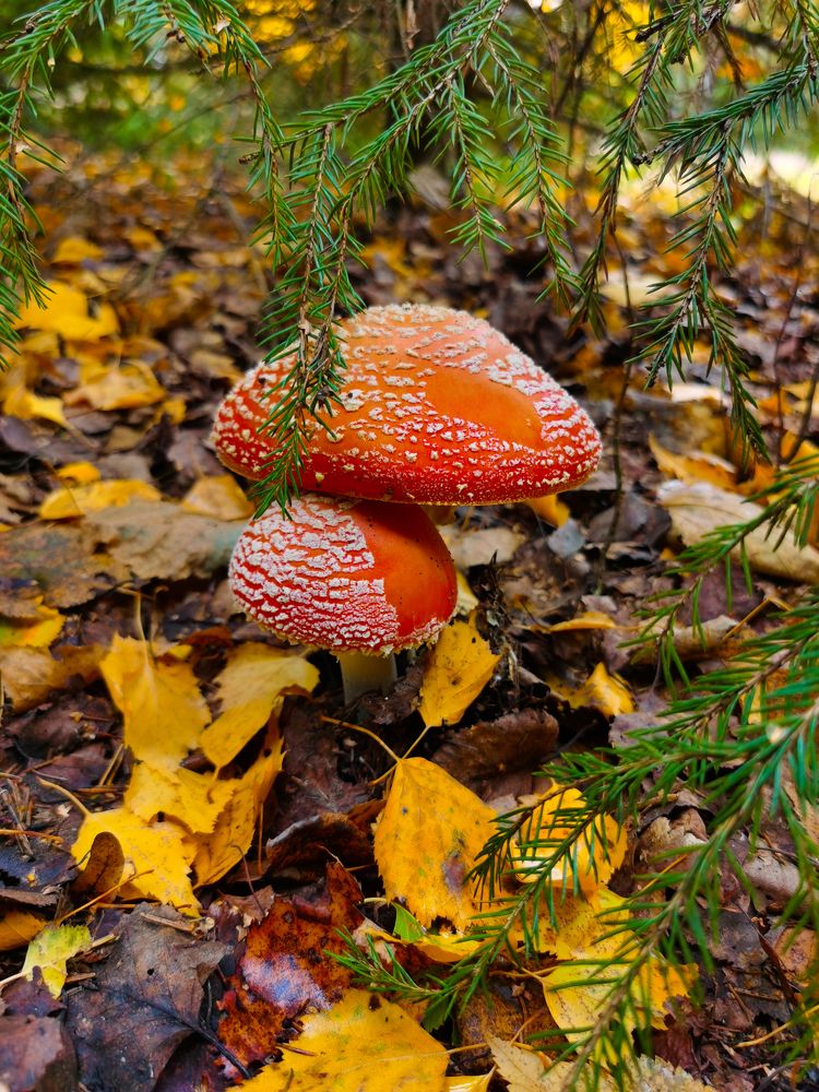 Photograph by Денис Ольгович