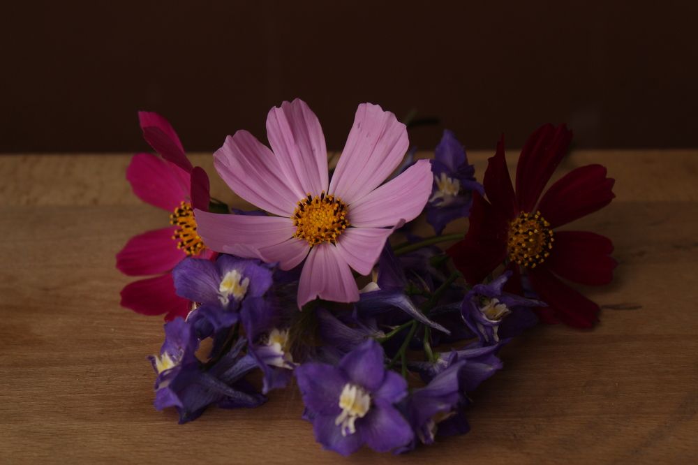 Photograph by София Орлова