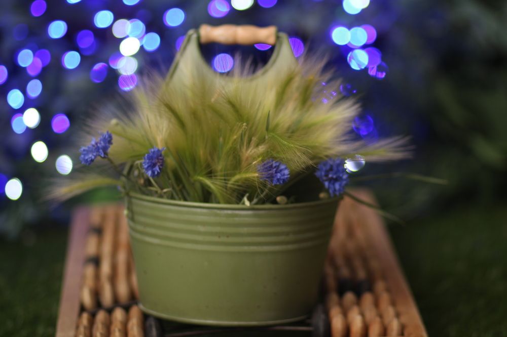 Photograph by София Орлова