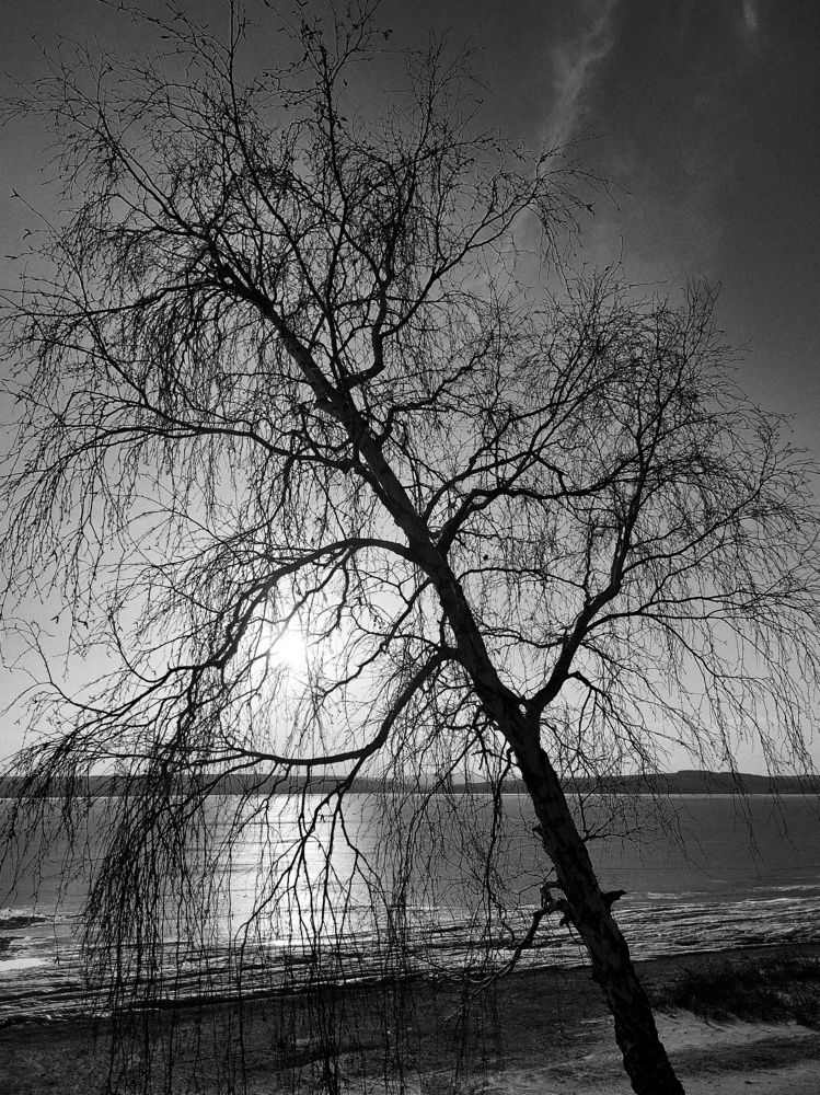 Photograph by Ксения Лукина