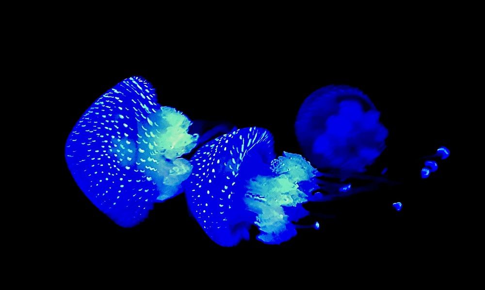 Photograph by Андрей