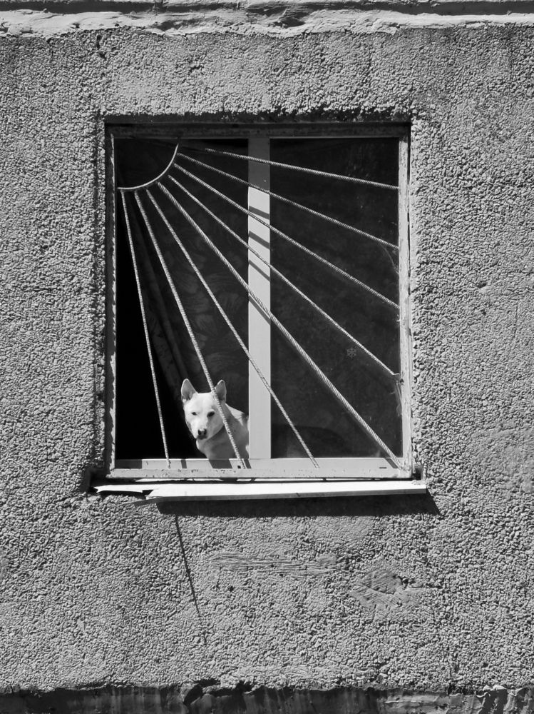 Photograph by Олеся Салунова