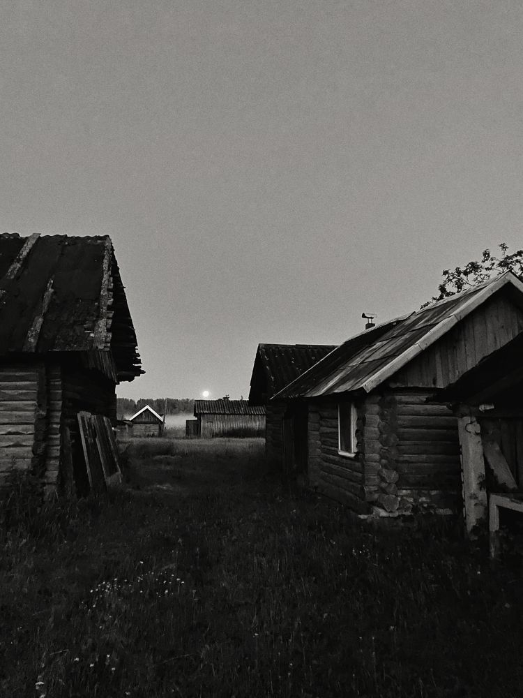 Photograph by Виктория Мостовая
