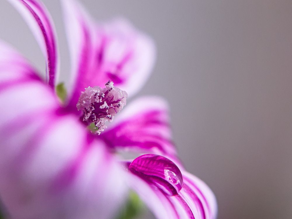 Photograph by Natalya Chevozerova