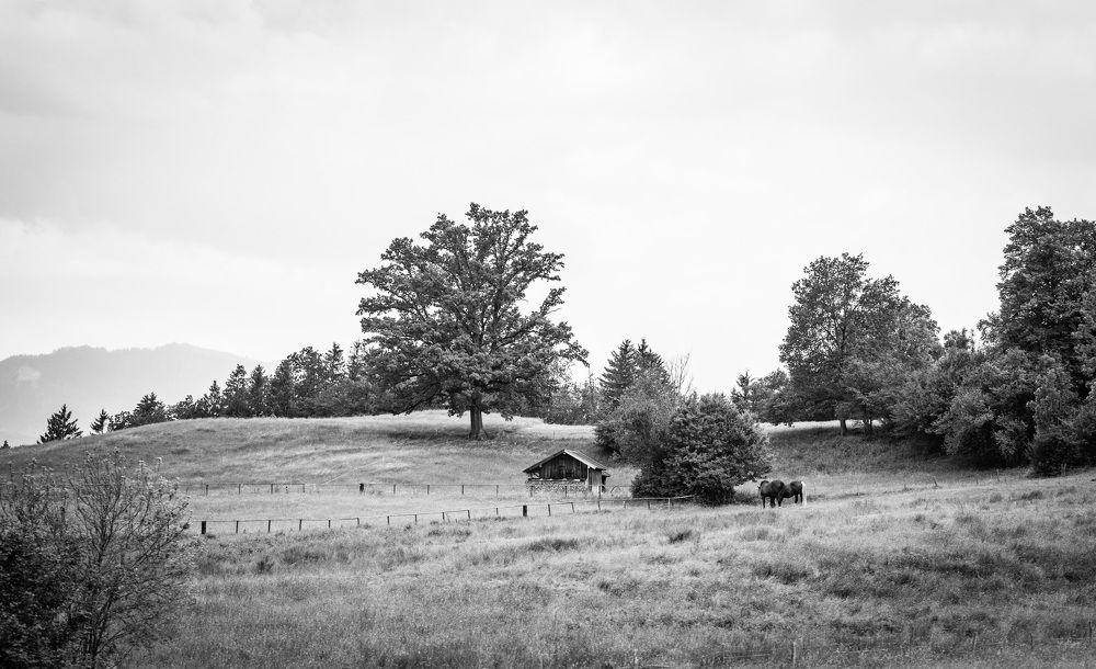 Photograph by Виктория Янушанис