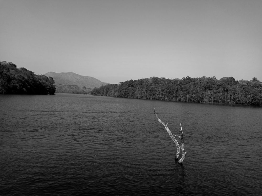 Photograph by ADARSH AJ