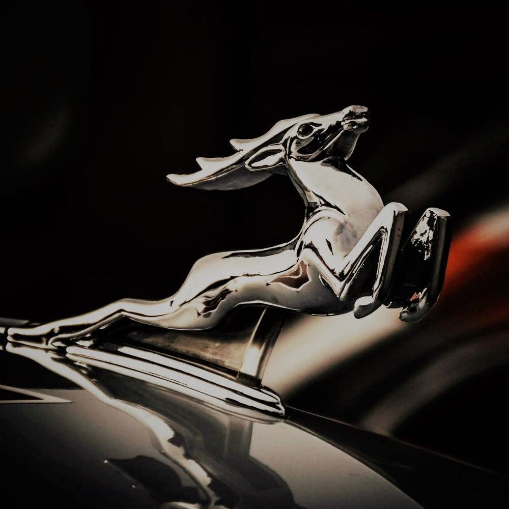 Photograph by Андрей Евтеев