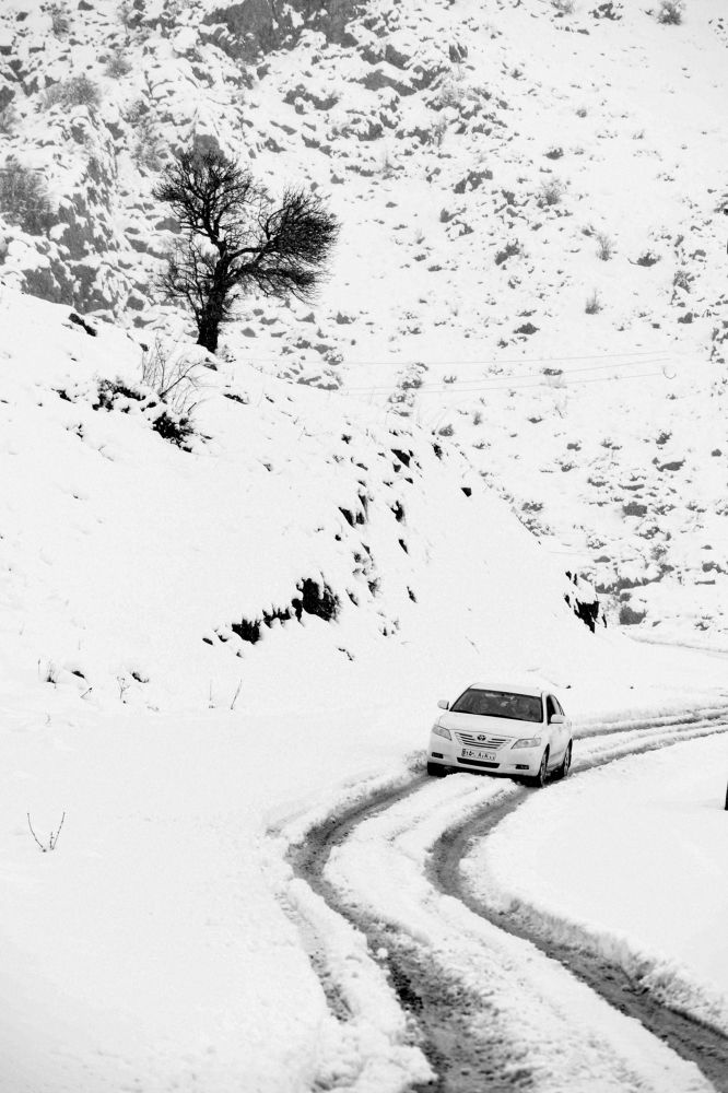 Photograph by Adl Abdolahi