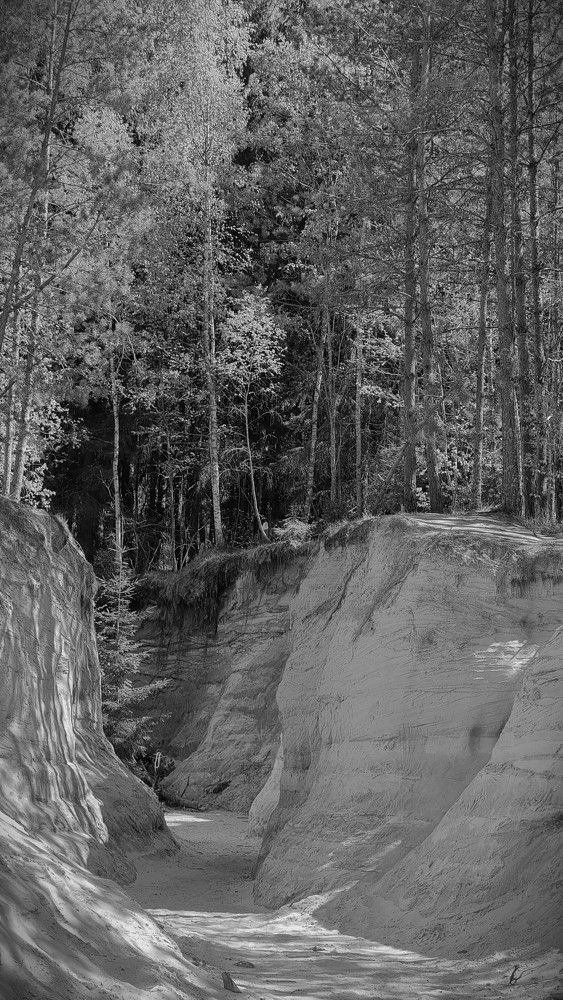 Photograph by Marie G