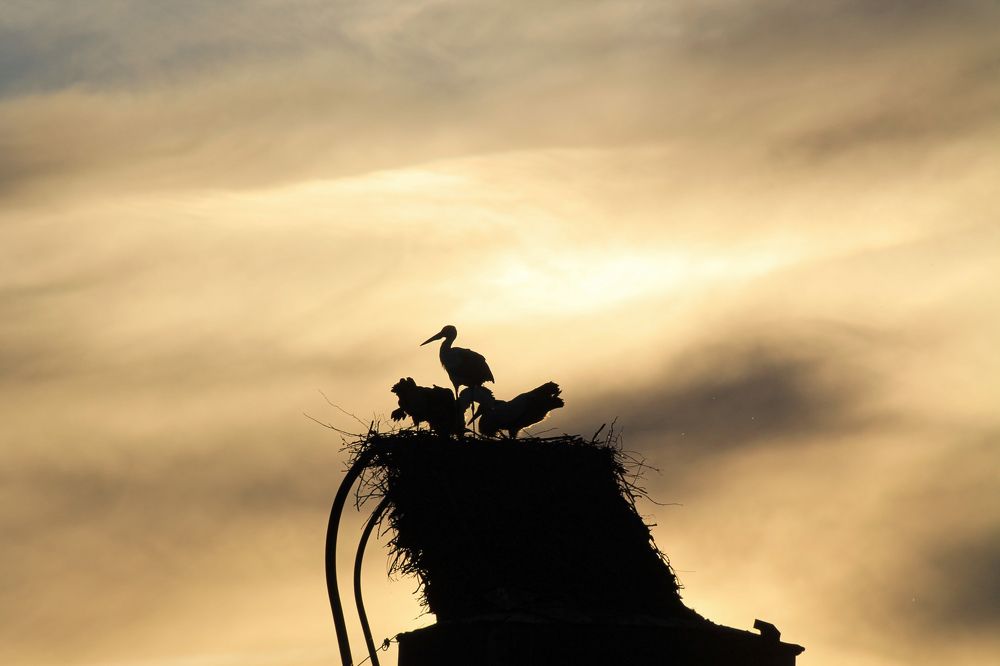 Photograph by Марина Кравцова