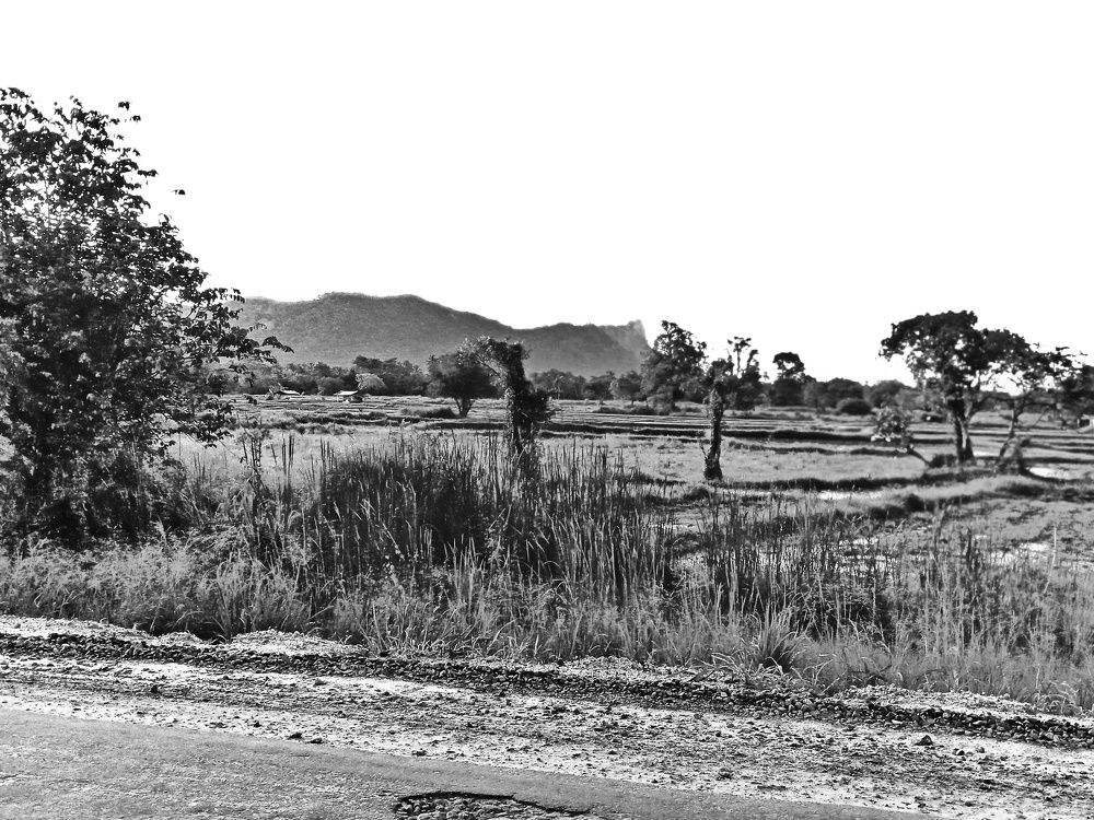 Photograph by Thimir adinisuru Ayththapulige