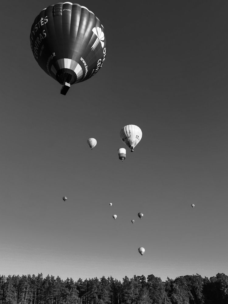 Фотография автора Tatiana Kots