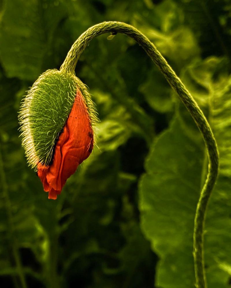 Photograph by Вера