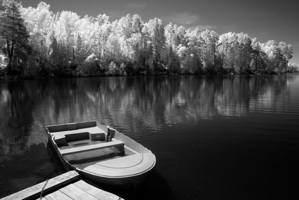 Photo #7817062
