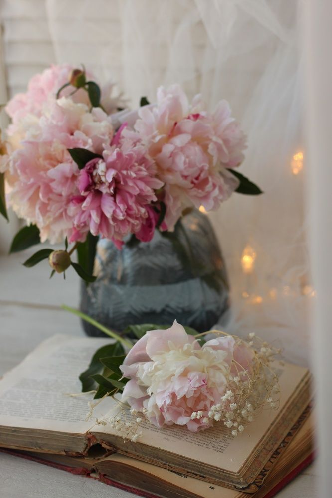 Photograph by Елизавета Дзюбак