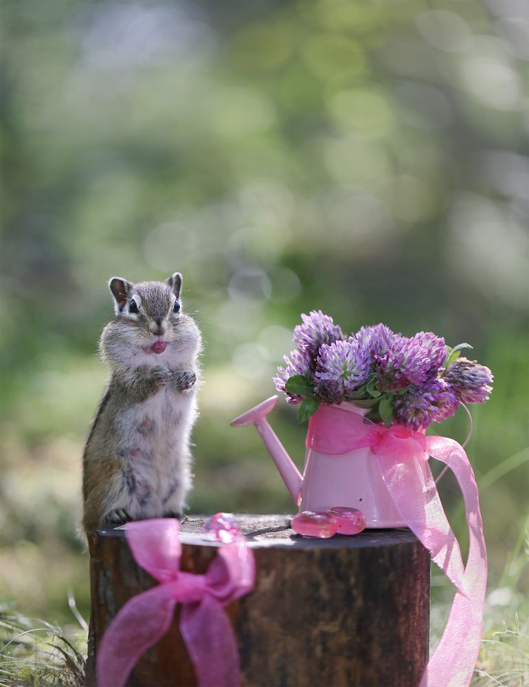 Photograph by Евгения Левина