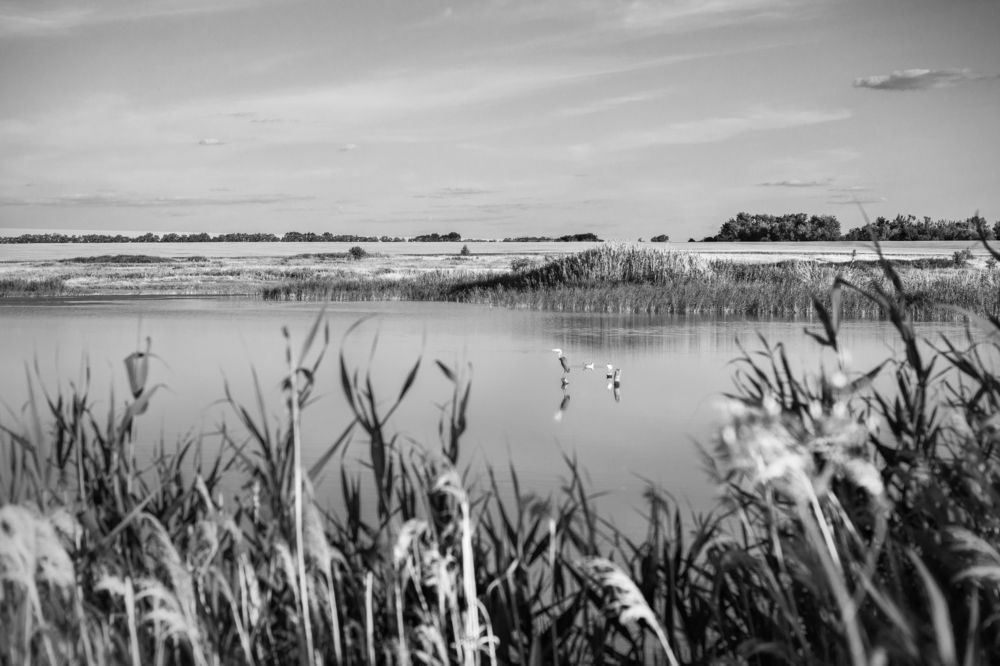 Photograph by Наталья Кириллова