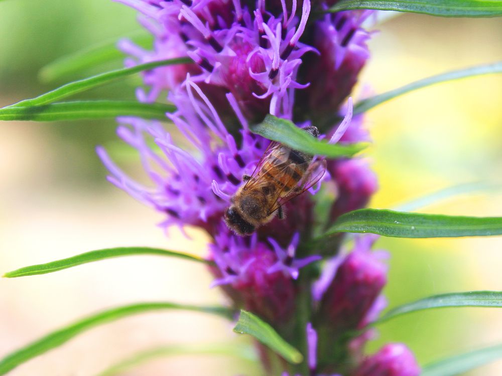 Фотография автора Светлана
