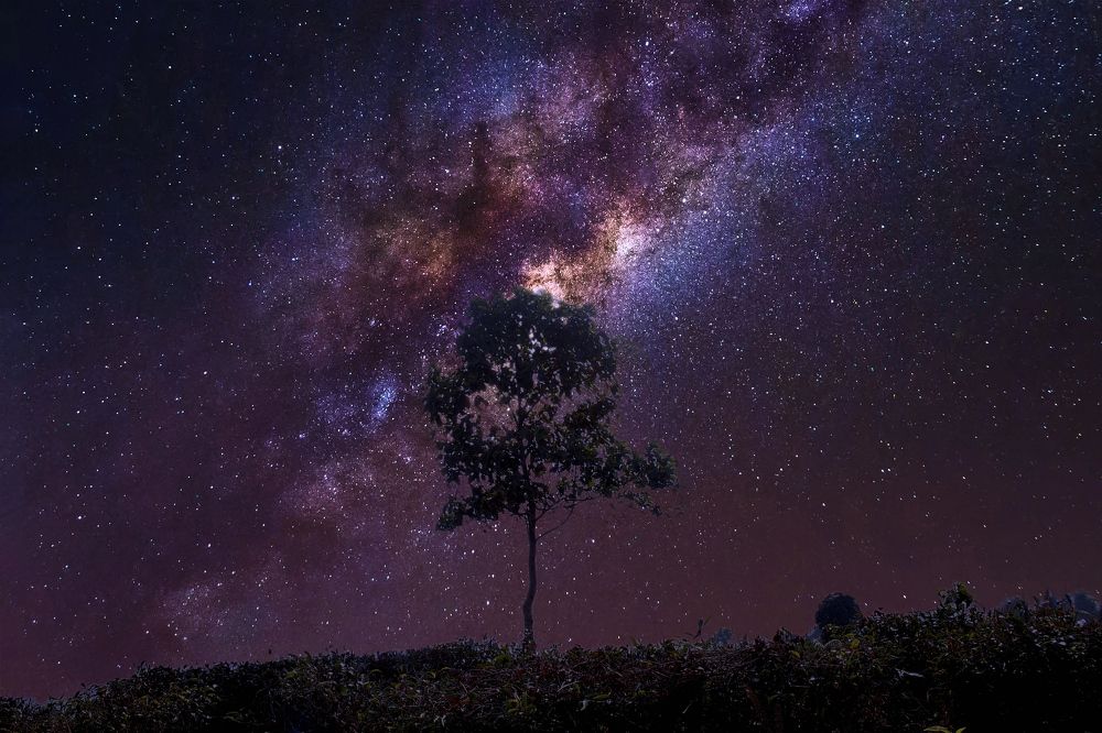 Фотография автора BIBEK chettri