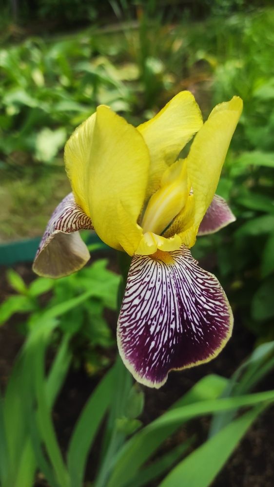 Фотография автора Наталья Сероглазова