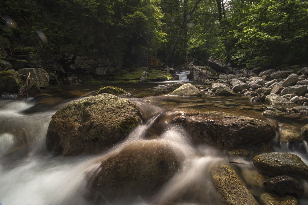 Photograph by ALEKSANDR KUZNETSOV