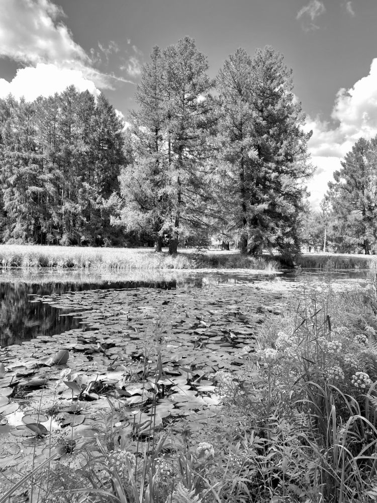 Photograph by Ирина Сорока