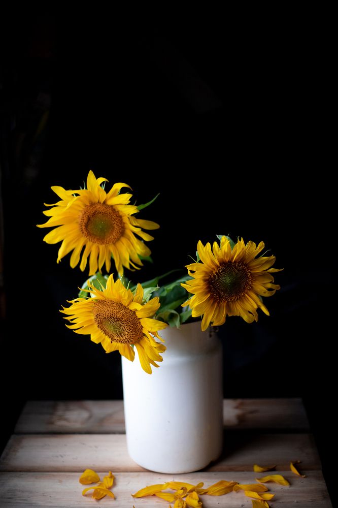 Photograph by Татьяна Кучерова