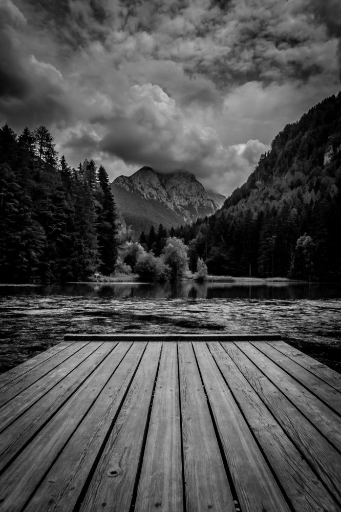 Photograph by Zoltan Laza Tamas