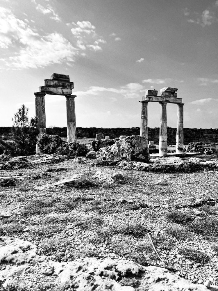 Photograph by Александра Фомичева