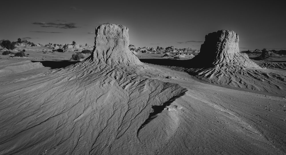 Photograph by wendy klein