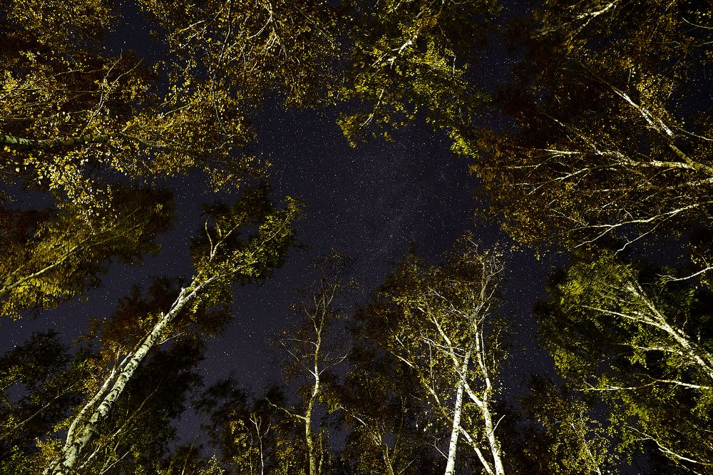 Фотография автора Игорь Игоревич