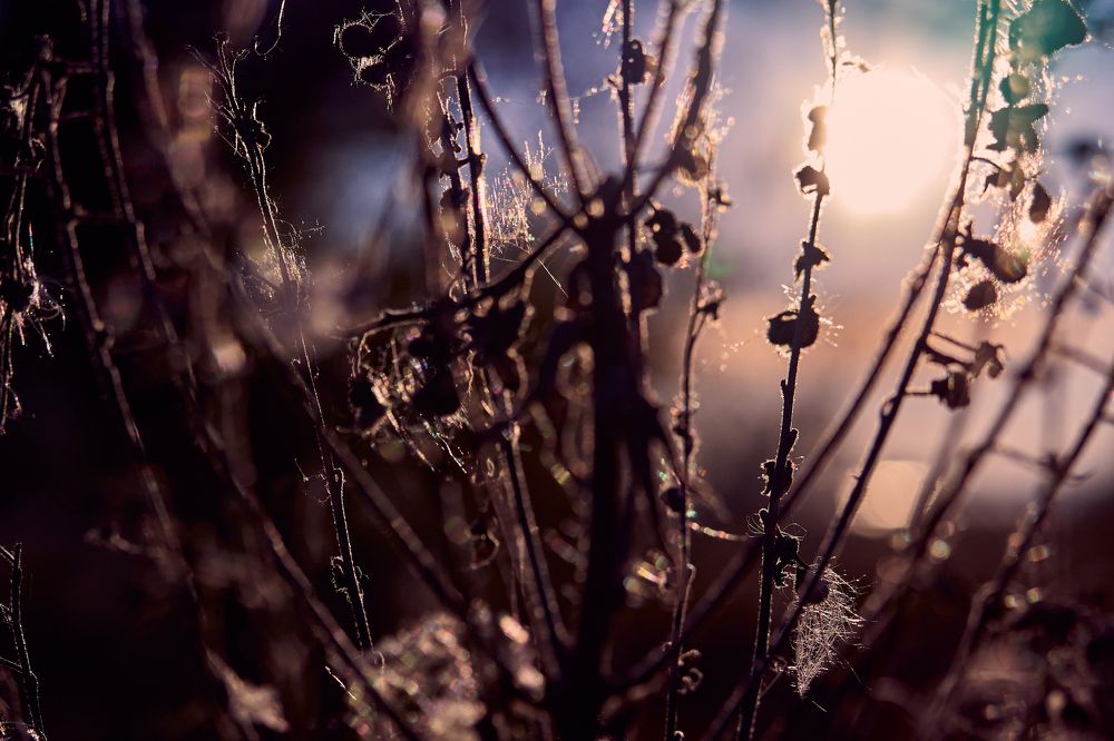 Фотография автора Игорь Игоревич