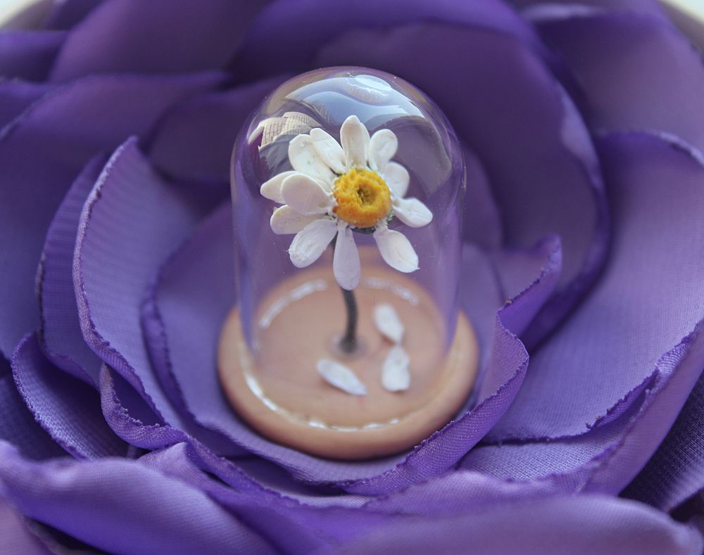 Фотография автора Светлана