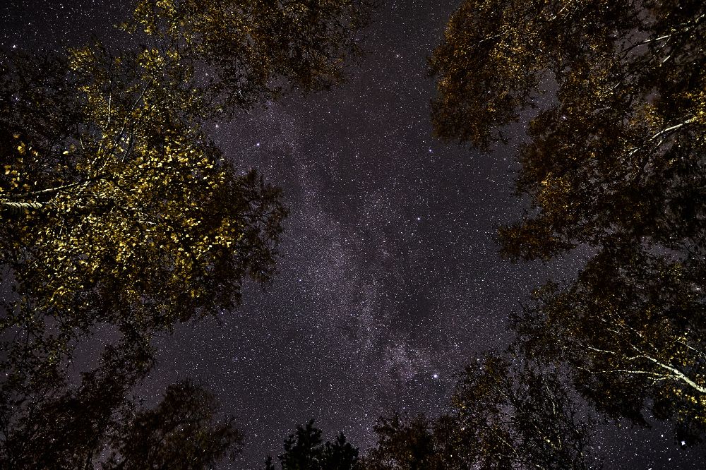 Фотография автора Игорь Игоревич