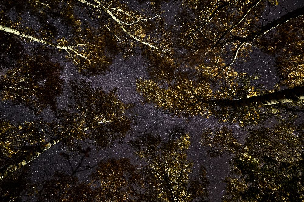 Фотография автора Игорь Игоревич