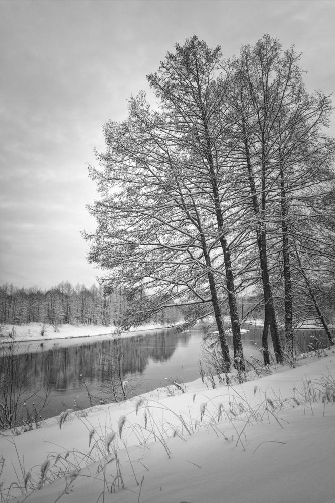 Photograph by Ольга Томилова